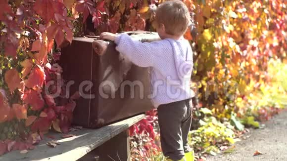在秋天的公园里玩可爱的男孩拿着手提箱等着落叶秋天的小男孩落叶公园视频的预览图
