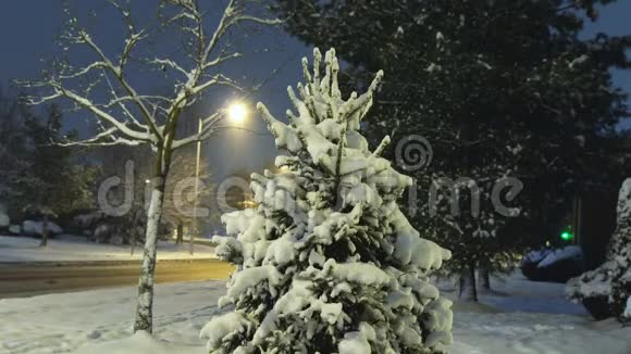 夜间冬季大雪一个居民区积雪覆盖树木用电灯驾驶汽车视频的预览图