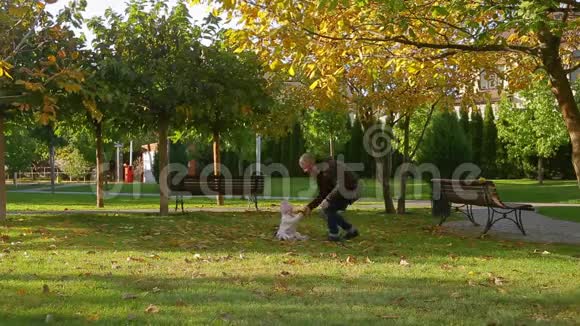 父亲和他可爱可爱的小女儿一起走在画城公园秋天的草坪上树和落叶视频的预览图