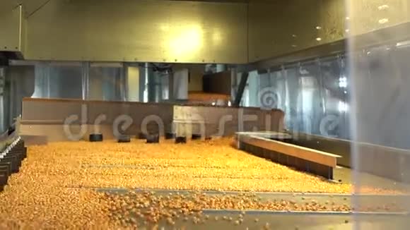在25英尺长的镜头下玉米收获良好视频的预览图
