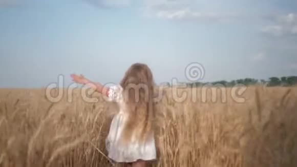 收获季节小女孩跑过田野双手滑过成熟小麦的金色小穗视频的预览图