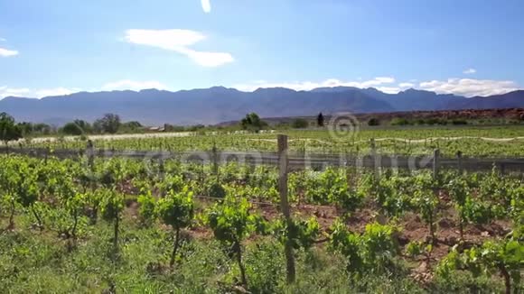 前往安第斯山脉玻利维亚塔里亚葡萄园和酒庄视频的预览图