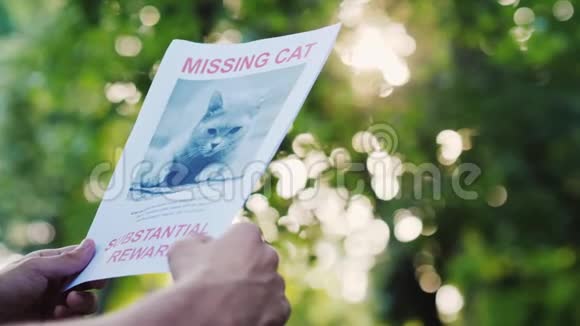 手拿着失踪的动物家猫的公告视频的预览图