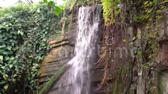 热带自然风光中的悬崖瀑布流水在流动视频的预览图