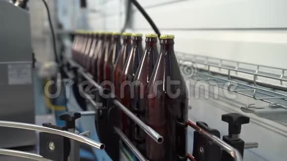 饮料生产软饮料柠檬水自动输送机上玻璃瓶中啤酒装瓶过程视频的预览图