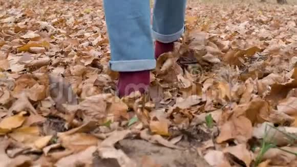 雌性的腿在公园里长出黄色的叶子落叶背面视频的预览图