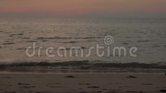 日落后沙滩上一只孤独的小狗视频的预览图