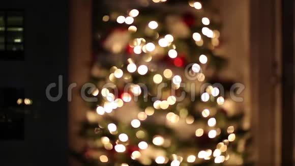 家里的圣诞树视频的预览图