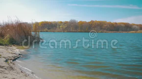 阳光明媚的一天在湖边的一艘小船上的渔夫视频的预览图