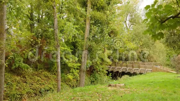 巴黎附近的法国帕莱索自然河流和树木的时间流逝视频的预览图