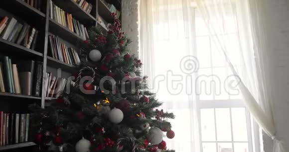 房间里有一棵装饰着的大圣诞树家里窗户附近有书柜视频的预览图