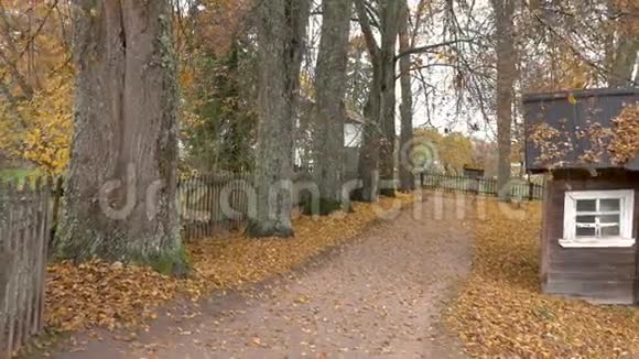 在公园的小路上照相机在许多树周围移动视频的预览图