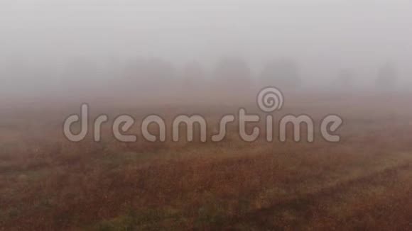 日出时在雾蒙蒙的田野上视频的预览图