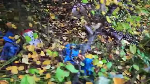 秋天森林里的垃圾环境视频的预览图