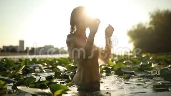 年轻的女人站在湖中在黄色的水的叶子里视频的预览图