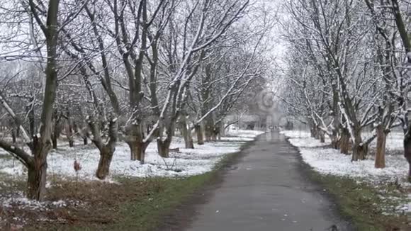林果巷在多云的春季天气下最后一场雪视频的预览图