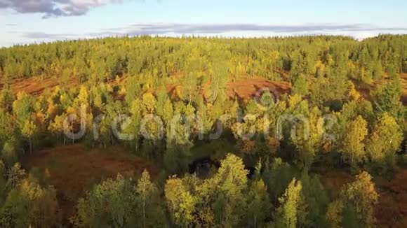 飞越亚马尔森林苔原秋日视频的预览图