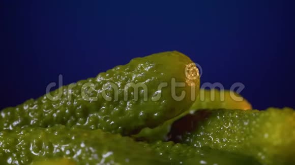 女人手咸黄瓜的视频视频的预览图
