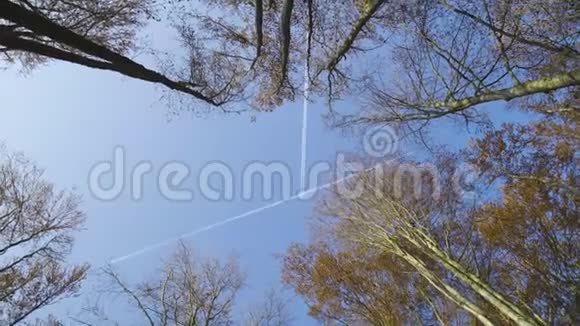 神奇的山秋森林树木生长在山上天空中的象征宗教视频的预览图