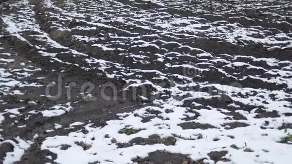 覆盖着雪的农田的俯视图铺满雪的田野视频的预览图