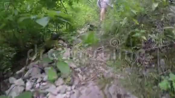 在岩石小径上的山里行走的游客艰苦的徒步旅行精力充沛的生活方式视频的预览图