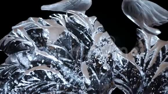 从冰面上剪下来的雕塑鸽伊西雕塑雕刻细节与倾斜紧密视频的预览图