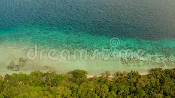 海岸线上有森林和棕榈树珊瑚礁上有绿松石水鸟瞰泻湖及海水表面视频的预览图