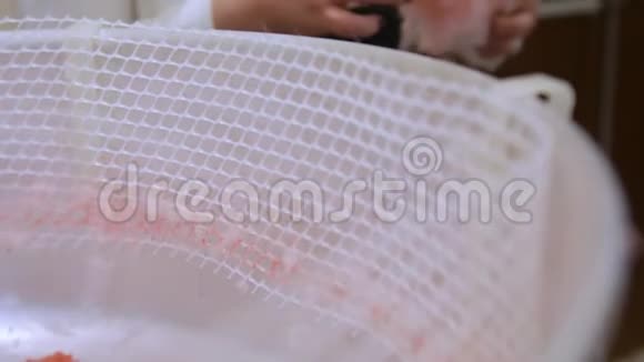 人在棉花糖机里做白色棉花糖生产甜棉羊毛的机器的工作街头食品视频的预览图