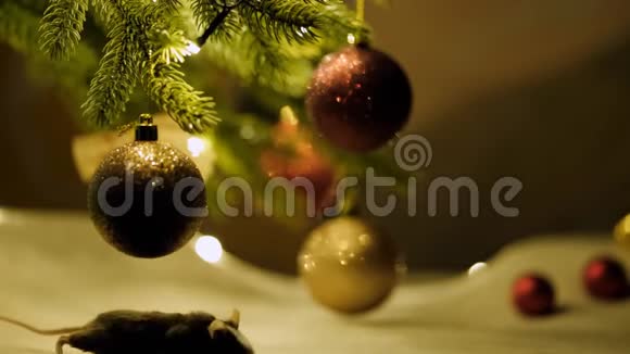 一只奇怪的灰色小老鼠在圣诞装饰中视频的预览图