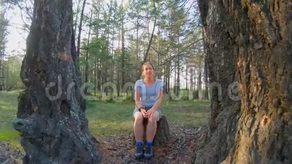 坐在树林里两棵大树之间的树桩上的女孩视频的预览图