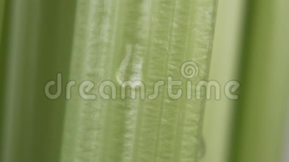 绿色的芹菜茎一滴纯净的水落下来慢慢地往下走视频的预览图