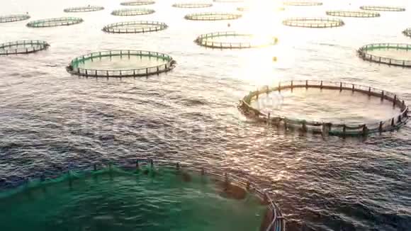 地中海海鱼养殖场的日落视频的预览图