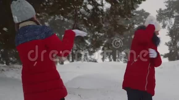 快乐的孩子在松林公园的雪白的山上玩雪球少女们在冬天的森林里玩雪微笑视频的预览图