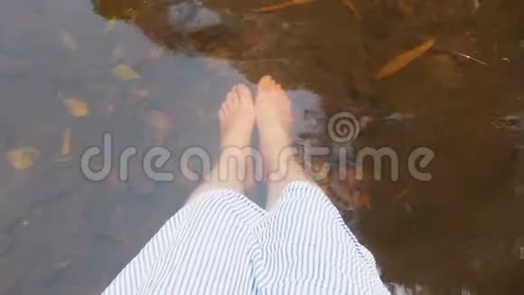 雌腿溅江水流夏林年轻女子在淡水中浸泡双腿享受岩石视频的预览图