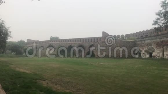 印度新德里2019年11月11日老墙前的草坪视频的预览图