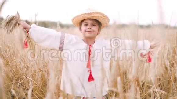 日落时小女孩在田野里走在耳朵里视频的预览图