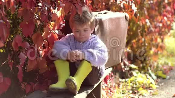 梦想的男孩坐在公园里祈求秋天的天气快乐的孩子们假期秋天的气氛视频的预览图