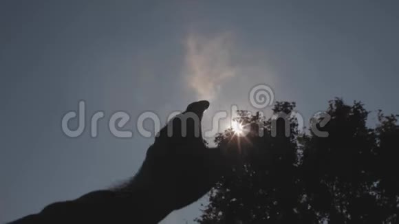 天空背景上双手的特写剪影人的手努力晒太阳和深蓝色的天空手对太阳4k4k录像慢慢慢慢视频的预览图