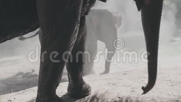 亚洲大象保护区泰国部分景观视频的预览图