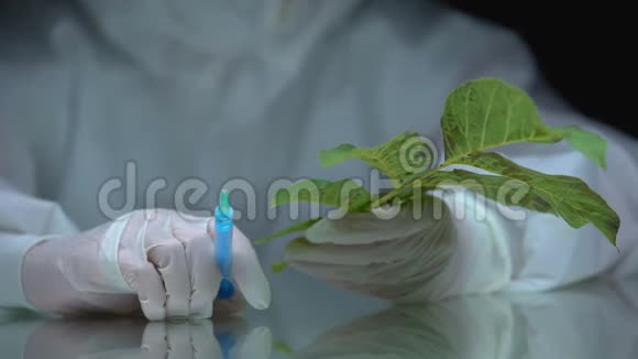 持有注射器和植物的生物学家农药对植物的影响生态测试视频的预览图
