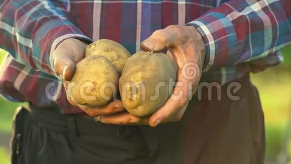 穿着衬衫的老人手里拿着自己的土豆视频的预览图