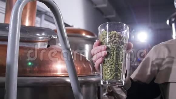 啤酒厂的概念啤酒的成分香花颗粒装满啤酒花球的玻璃视频的预览图