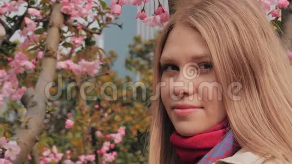 近景拍摄背景上有粉红色花朵的迷人女孩女人喜欢樱花盛开的味道视频的预览图