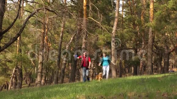 幸福的一对夫妇和奥巴克一起穿过树林一家人和狗在树林里旅行旅行者爸爸女儿宠物视频的预览图