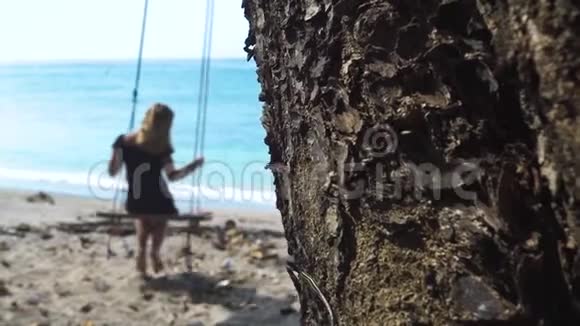快乐的女人在海滩上摇摆在蓝色的海水上摇摆蜥蜴在树干背景上爬行假日休闲视频的预览图