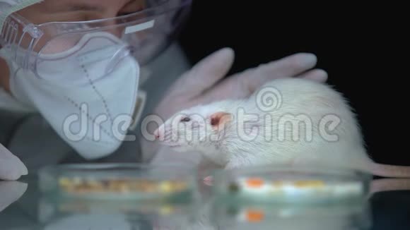 防护面罩监测感染病毒后大鼠反应的流行病学专家视频的预览图