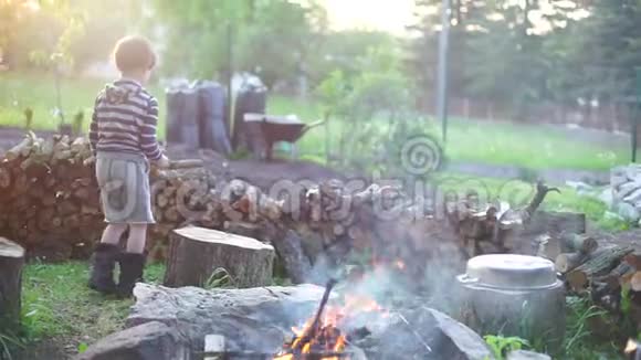 一个篝火小孩扔了一根木头视频的预览图