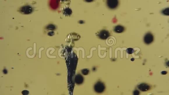 黑色红色和透明的气泡漂浮在金色液体中透明杯中的色滴快关门视频的预览图