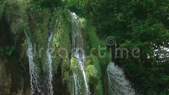 森林瀑布流动作缓慢视频的预览图