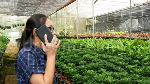 园丁年轻的女人在电话中谈论工作同时命令员工在温室工作视频的预览图